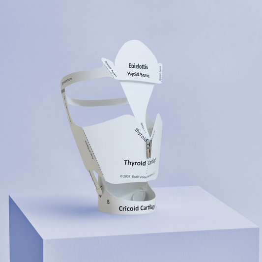 Make & Move Larynx