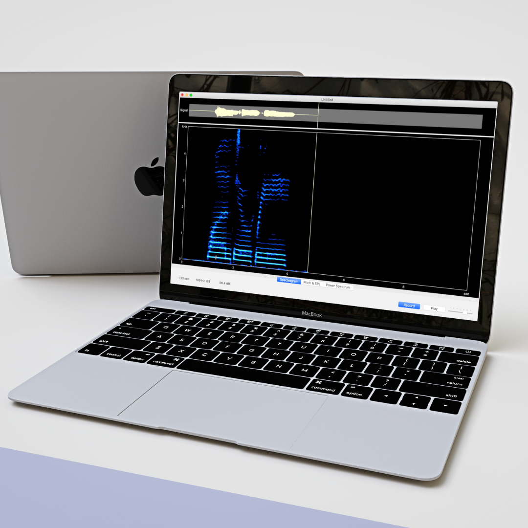 Estill Voiceprint Plus (w/ Figure Recordings & Testing Protocol)