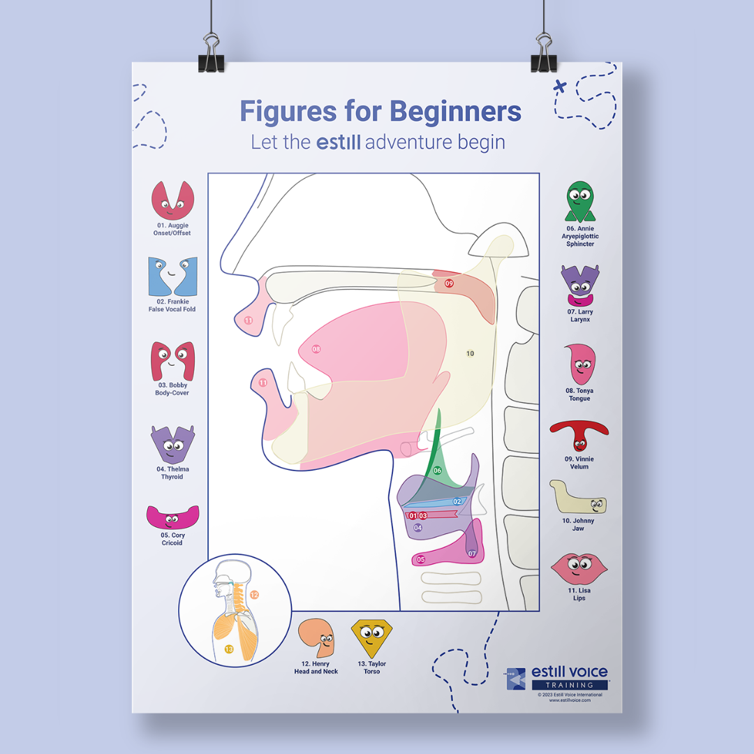 Estill Figures for Beginners Poster