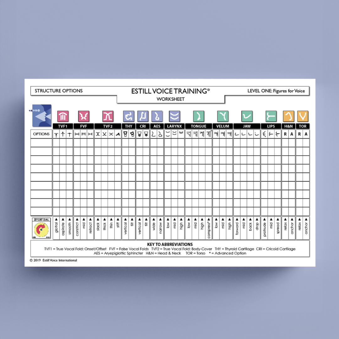 Giant EVT Laminated Worksheet