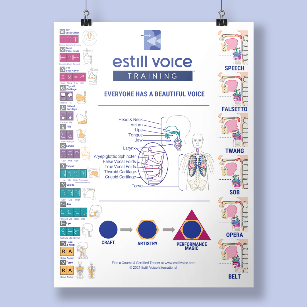 Estill Voice Training Poster