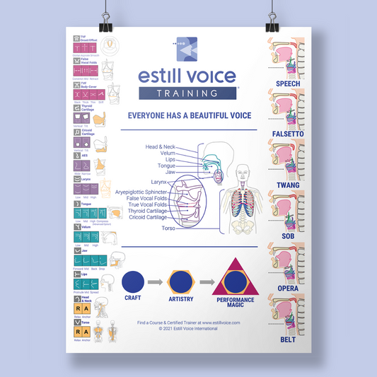 Estill Voice Training Poster